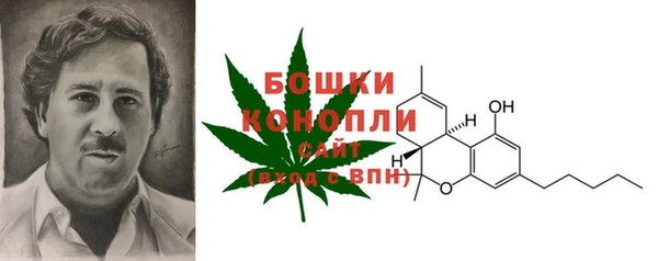 Альфа ПВП Богородск
