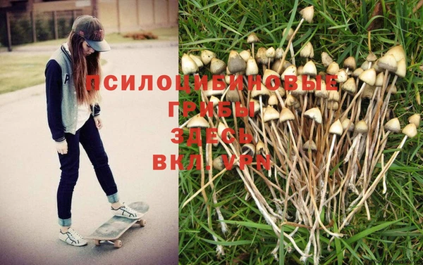PSILOCYBIN Володарск