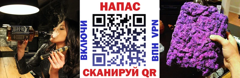 Конопля сатива  Жирновск 